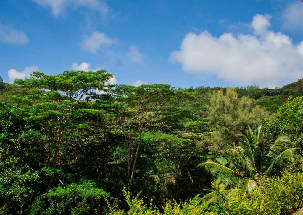 Anse Royale Panorama View Apartment Luaran gambar